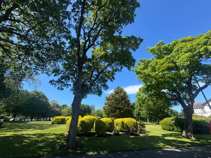 Hayfield Avenue